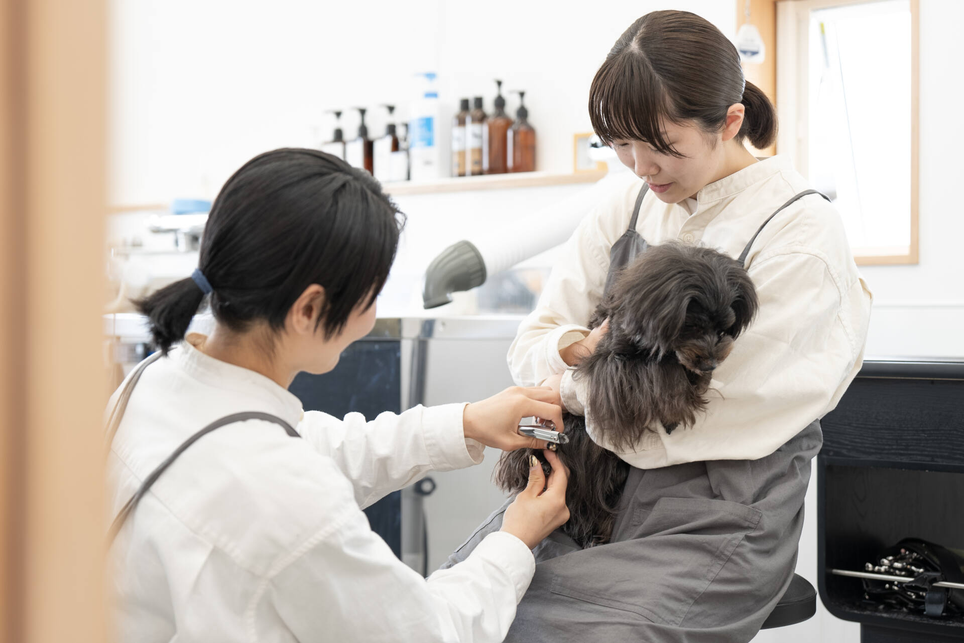 tone villageの1年を振り返る<br>sora to kaze 店舗インタビュー